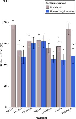 Effect of Coral-Algal Interactions on Early Life History Processes in Pocillopora acuta in a Highly Disturbed Coral Reef System